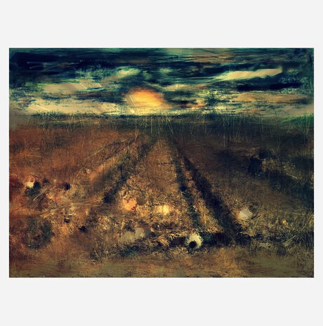 Painting field  / 