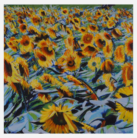 Field of sunflower, cylindrical / Sara Lipkin
