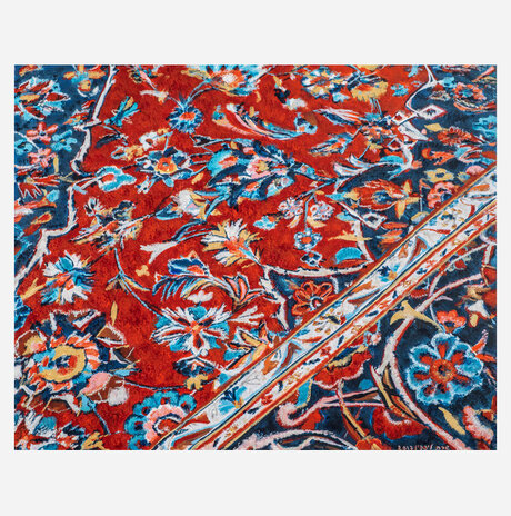 Red Carpet / Sara Lipkin
