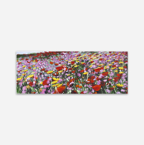 Poppies, chrysanthemums and fingernails, Rehovot / Sara Lipkin