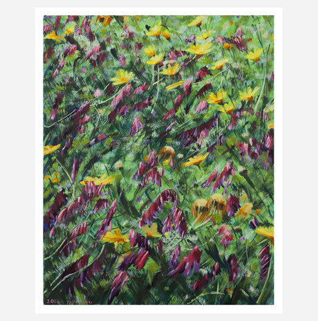 Vetch and Chrysanthemum, Maoz Aviv / Sara Lipkin