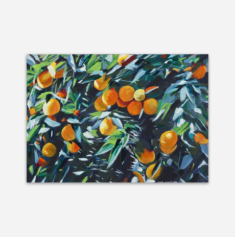 Oranges / Sara Lipkin