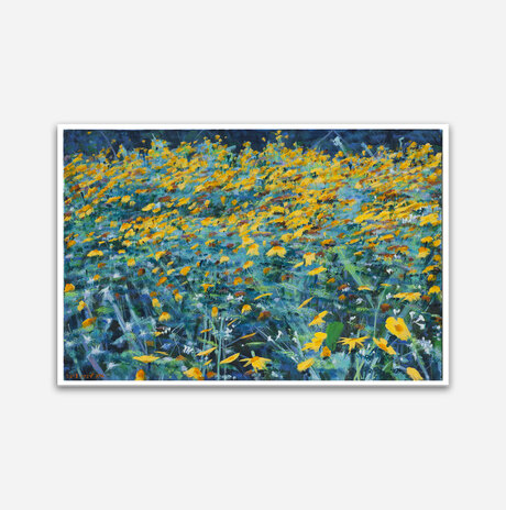 Field of chrysanthemums / Sara Lipkin