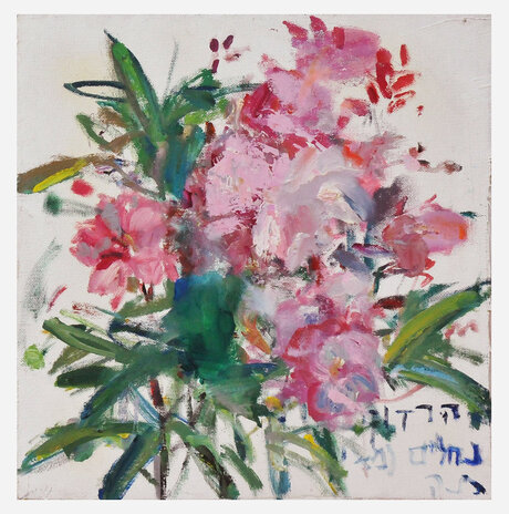 Oleander / Nurit Gur Lavy