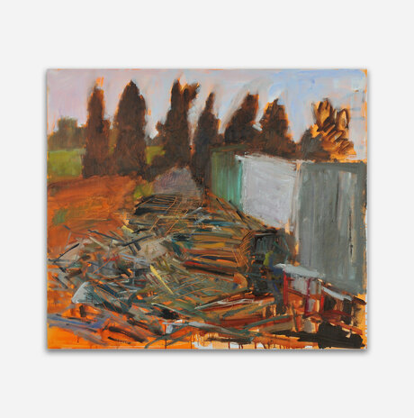 Backyard 3 / Nurit Gur Lavy