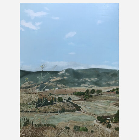 Autumn, Carmel mountains / Zohar Flax