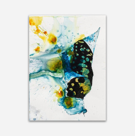 butterfly in the rain / Chervinski Mirit