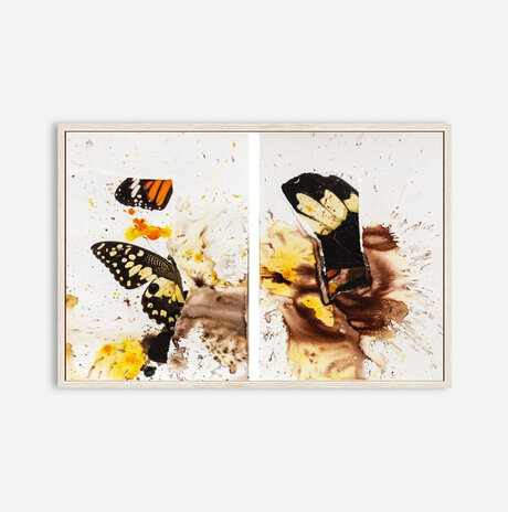 Diptyque Butterflies in the sun / Chervinski Mirit