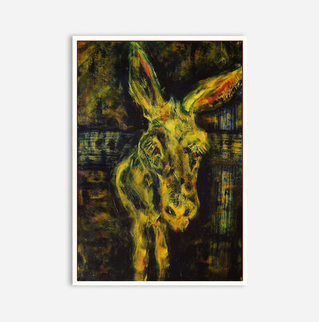 Donkey / Yossi Waxman