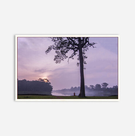 Morning Prayer in Angkor Wat  / 