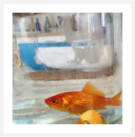 The Golden Fish / 