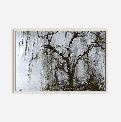 Weeping willow tree / 