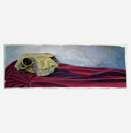 Skull on Red Drapery / Jonathan Beck